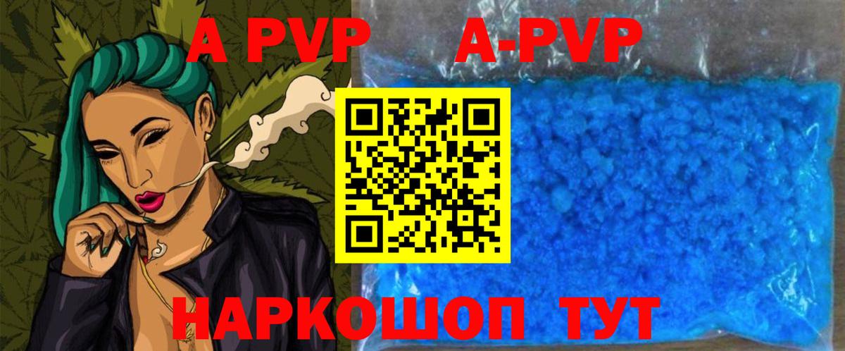 A PVP СК Вологда